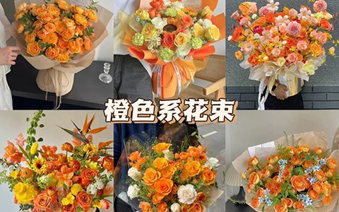 橙色玫瑰适合送什么人