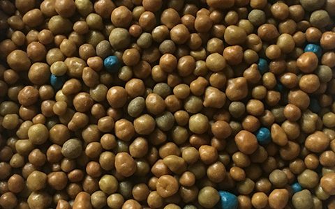 月季夏天为什么不能施缓释肥