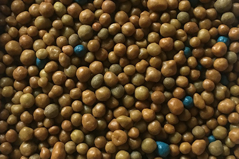 月季夏天为什么不能施缓释肥