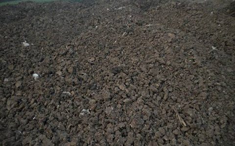 月季有机肥用哪些好，多久施一次