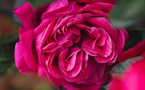 亚历山大·阿斯蒂尔