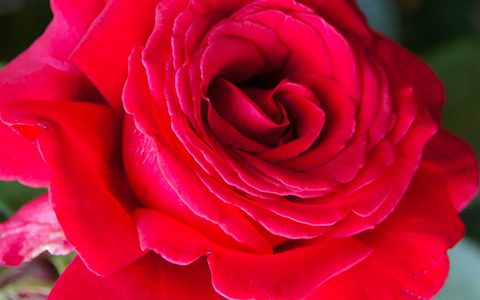 烈火英雄的优缺点