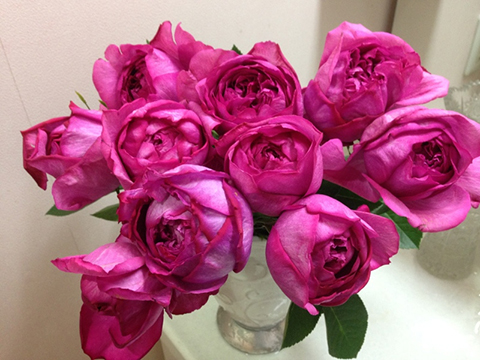伊芙热情