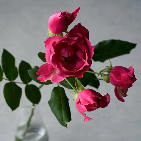 和花