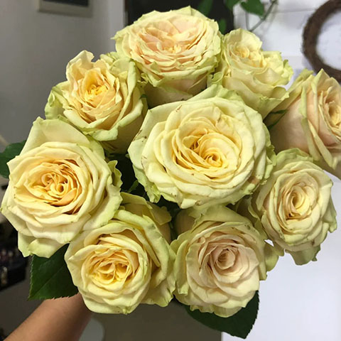 奇迹花园