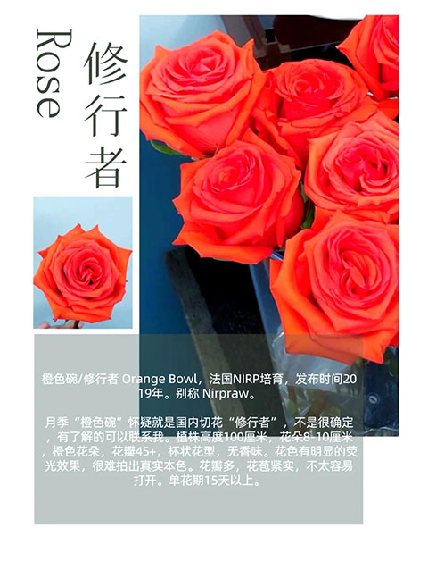 修行者