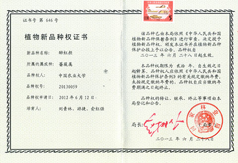 醉红颜月季品种证书