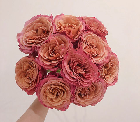 麦芽