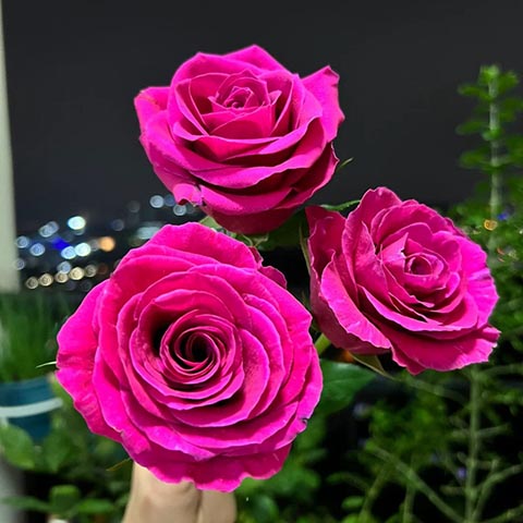 热点