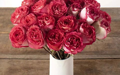 伊瓜苏草莓奶油