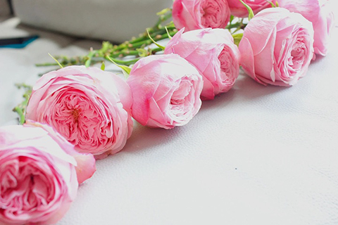 曼斯菲尔德公园