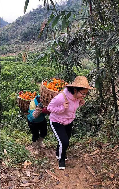 这朵黄花,就叫“文秀”吧! 这朵黄花,就叫“文秀”吧!