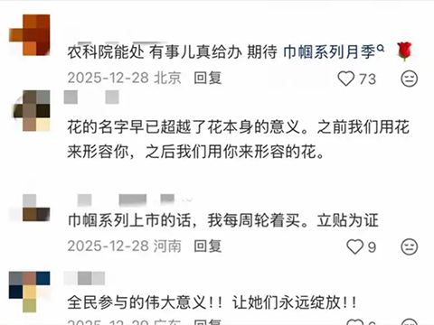 这朵黄花,就叫“文秀”吧! 这朵黄花,就叫“文秀”吧!