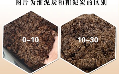 粗泥炭和细泥炭有什么区别