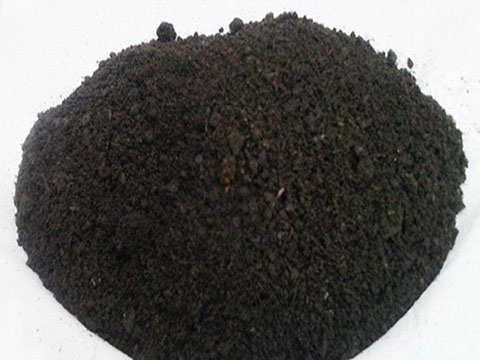 新鲜的鸡粪可以用来种藤本月季吗 新鲜的鸡粪可以用来种藤本月季吗