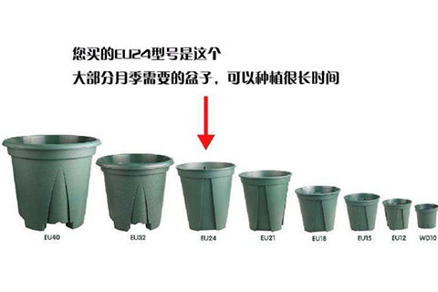 什么是控根盆，它有什么优点