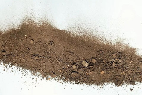 盆栽月季浇水的正确方法 盆栽月季浇水的正确方法