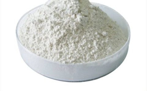 多效唑对盆栽月季的促花作用