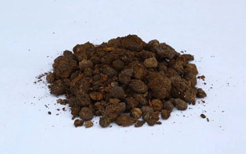 月季种植使用什么基质