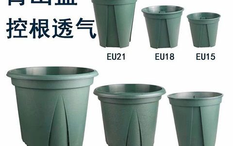 月季种植使用什么盆好