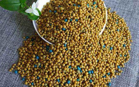 春季月季花施什么肥料