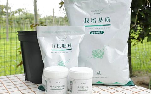 月季换盆后的旧土不要扔，这样处理还能用