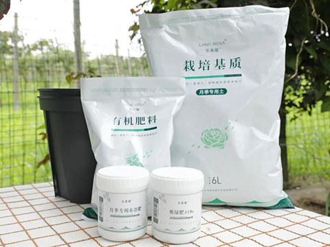 月季换盆后的旧土不要扔，这样处理还能用