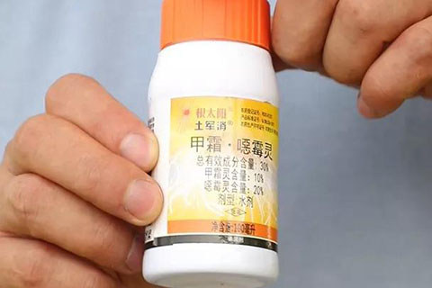 月季换盆后的旧土不要扔，这样处理还能用