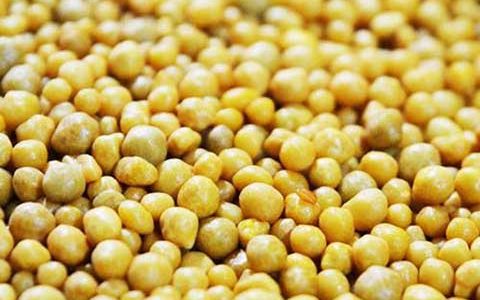 盆栽月季花怎么使用缓释肥