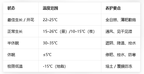 月季花的养殖方法和注意事项