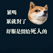 我姓谭不信唐的头像